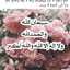 ام اولادي