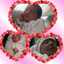 Mis Soles Ale Vergniaud