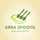 Arra Spoons Arra Spoons