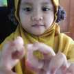 taufik ariyanti