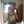Ariana Schemm Ariana Schemm