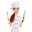 Shokoo_Chef