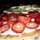Insar_cook Insar_cook