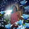 Anto Barros
