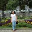 hana mayar