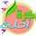 Heba Gamil Heba Gamil