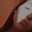 Candela Delettieres Candela Delettieres