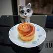 Cooking With Nuno