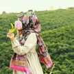 لولو عطر