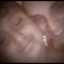 Vanesuchis Limon