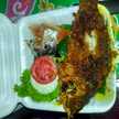 ella yamiin
