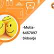 -Mutia-