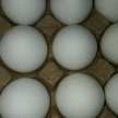 Rox39f