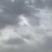 وشوش ش