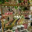 Dapur Shinta