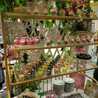 Dapur Shinta