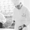 Chef Alexander