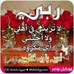 مهاجر