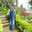 Misymisy