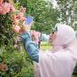 Shinta Bintang