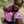 Tamarapreye Fanama