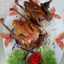 Thanh Do