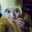 Dinie Priemand