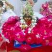 Neelam Pushpendra Varshney