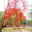 Saputri Barlian