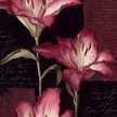 Decphna