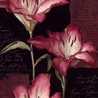 Decphna