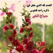 ام البراء