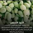 frdwsabu 