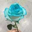 sharaf_kh