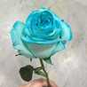 sharaf_kh