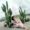 tiara suly