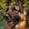 Pilatoy Mixalitsa