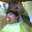 rihab ahmer elain