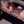 Yanina laress Yanina laress