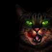 Hamza