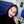 salimeh