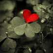 Om Ayham