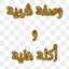 Kareen K12
