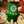aaaa