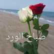 Salam K