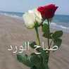 Salam K