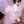 Hamna Nabeel