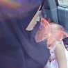mely sari