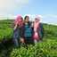 Nur Amalina Dwi Anggraini