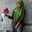 Rika Widayah